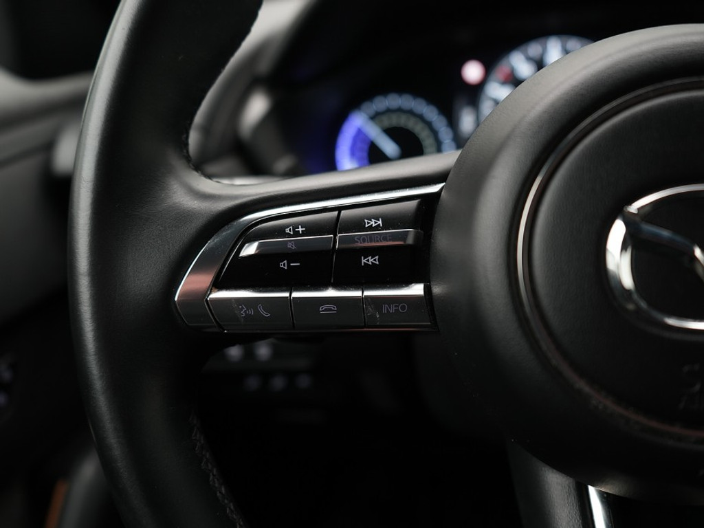 Mazda MX-30 e-SkyActiv 145 First Edition 36 kWh